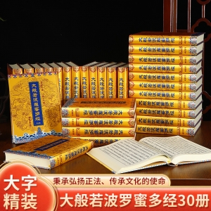 大般若波罗蜜多经 精装16开全30册600卷线装书局出版